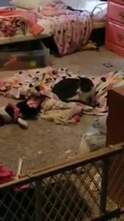 I'm gonna get.....nope I'm out!