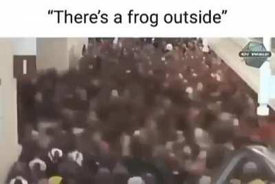 Frog moment👍