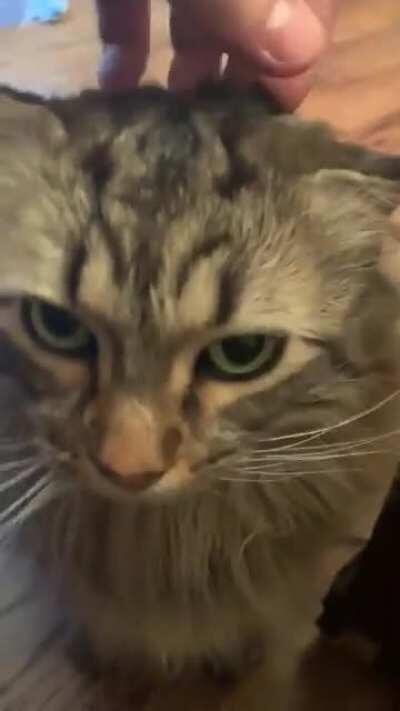 Atticus has a lil squeak in his motor