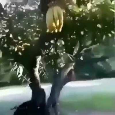 M̸̞̫͚̓͆͝ O̴̢̻̟̾̈́͛ N̵̡̺̦̐̽͝ K̸̢͇͖̿͋̚ Ë̵̢̟̝́́̓ Y̸̦͍̒̓͒͜