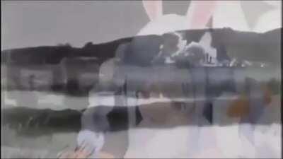 The Pacific War in the eyes of a rabbit peko.