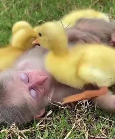 Wish this make your day better, ENJOY!