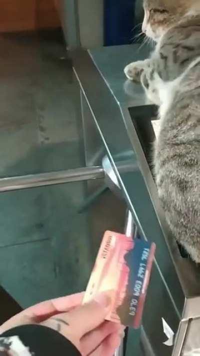 In Instanbul, of course......