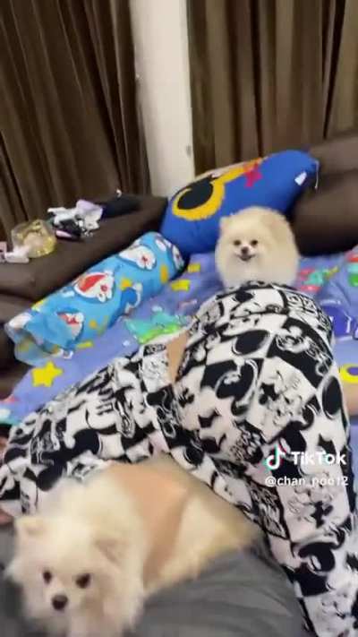 don't really know what she's doing