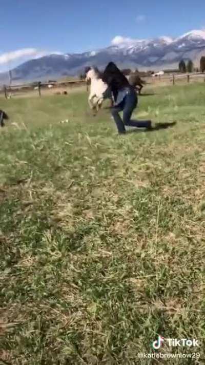 HMC while I pop this bottle