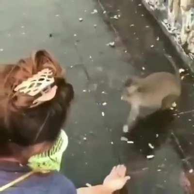 Luan ganhando donate