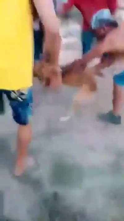 Another normal day in Brazil.