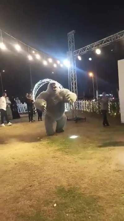 What’s going in Egypt