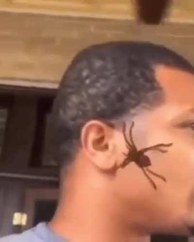 blursed_steve harvey