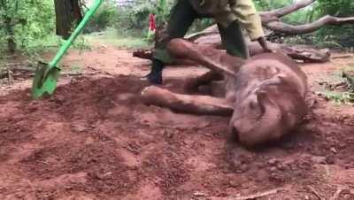 You’ll love this little treat. Pun intended.