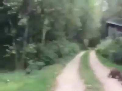 ITS ITS GETTING TO ME NO NO NO THE OTHER RACOOOONNSSS NOOOOOOOOOO