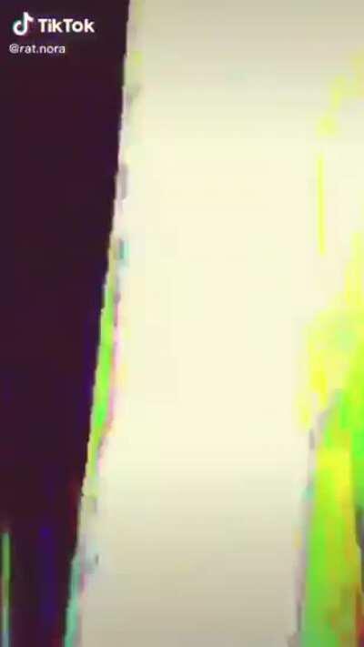 tik tok nibbas be like