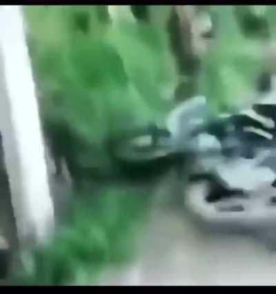 Not a car, but definitely an idiot.