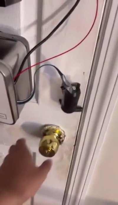 They will never see it coming