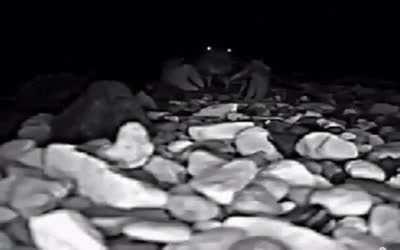 Jumpscare timestamps: 1:41, 5:43, 7:12, 8:34