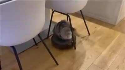 Clearly not his first rodeo