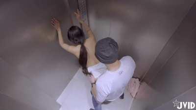 stuck in the elevator Lele Wu