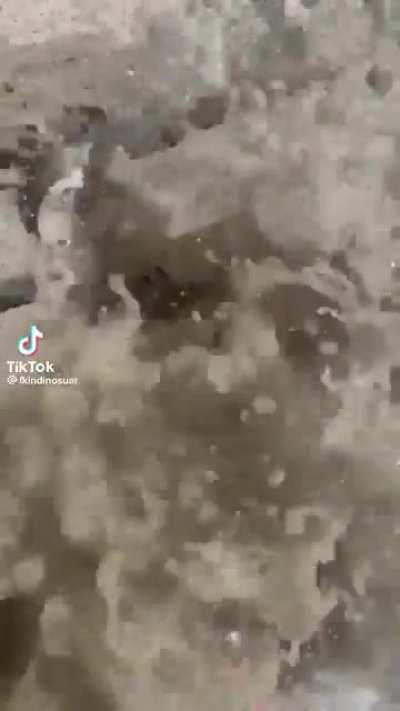 He definitely found something