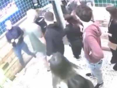 WCGW trying to steal the girl's phone