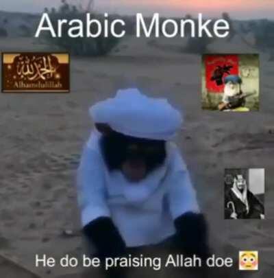 Praise monke