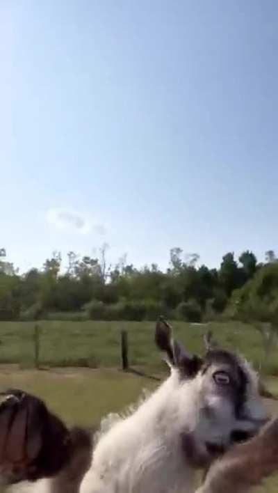 Have a nice day 😁