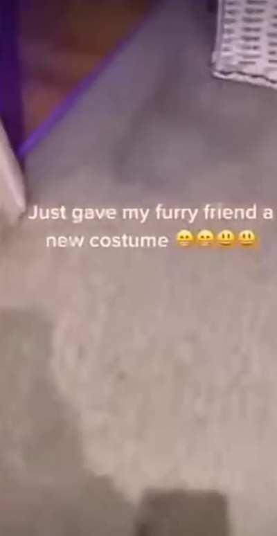 Um presente pra um amigo 