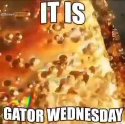 Gator Wednesday