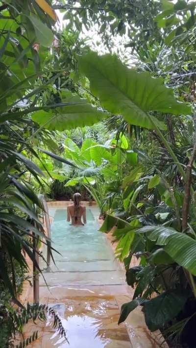 Alexis on her stories, December 1, 2023