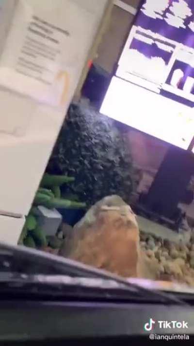 The employees have had enough