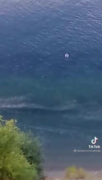 Thoughts on this video I came across?