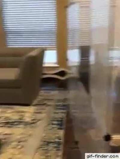 Perfectly catculated escape