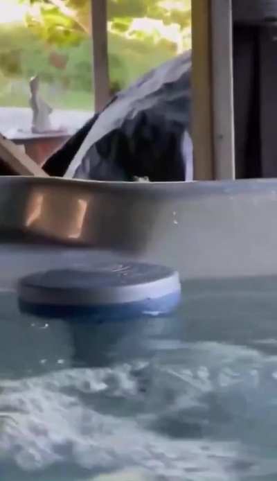 Enjoying a hot tub and notice you're being watched