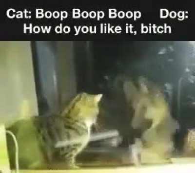 Well, technically...