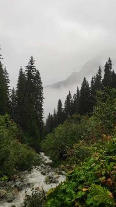 I just stopped for a few minutes and enjoyed the view and sound. (Montdafon, Austria)