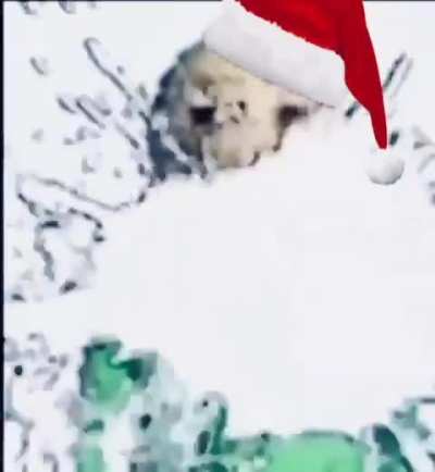 Ho ho ho! Marry christmas!