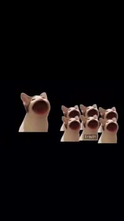 Hope Jeannie or henry see this (it’s my first time posting in here)