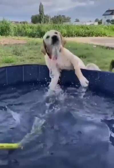 Oh good god I've fallen down