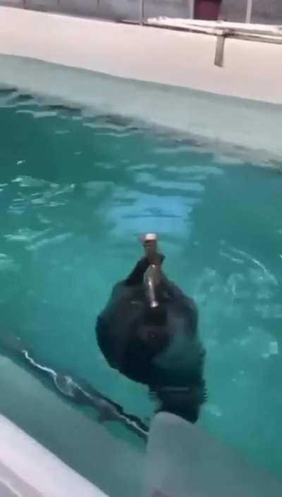 Getting completely naked and play the saxophone, sensationally ð·