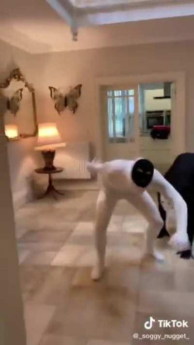 I did not make this but I would like to think that this is basically unus annus