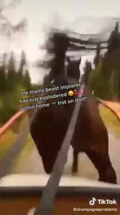 Hecarimjob on his way to gank bot lane