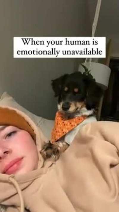 He took that personally 😭