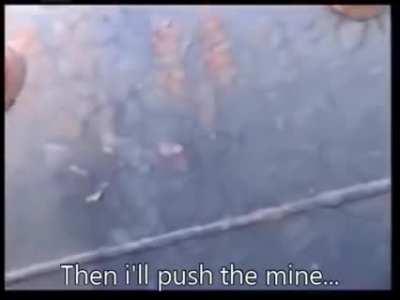 To the all the tuerists komming arond