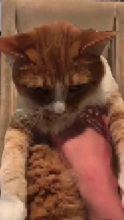 Are you kidding…Just sign the Damn petition.