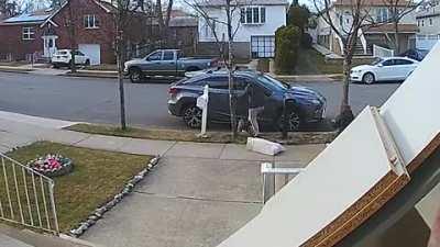 Pitbull attacks and kills family dog. My heart dropped when I saw this video :(