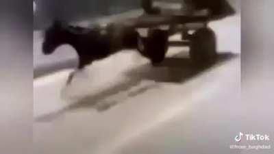 This shit is lit 😂😂