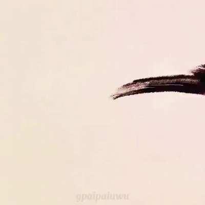 Kamisato Ayaka it's finally here 🛐❄