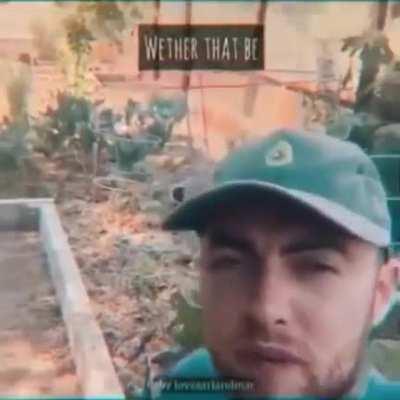 wise words from mac 🏊‍♂️