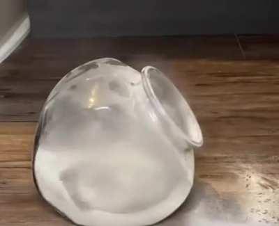 blursed_cocaine_chincilla