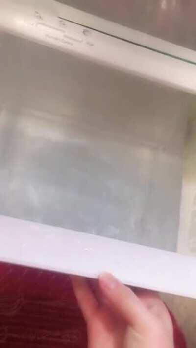 Kid filled refrigerator with water.