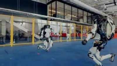 the first thing i thought of when i saw that boston dynamics video